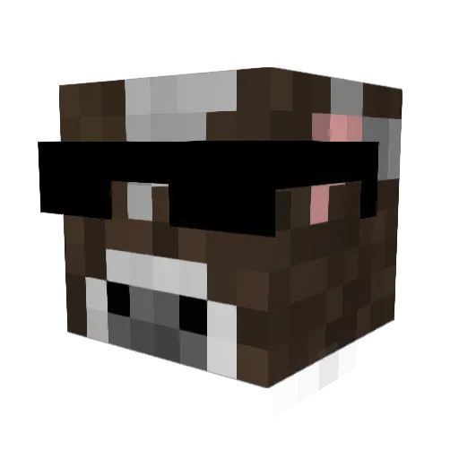 Squaber Minecraft avatar head, 3D render