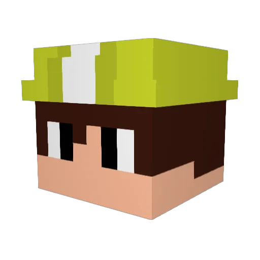 Squador Minecraft avatar head, 3D render