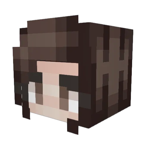 Squagie Minecraft avatar head, 3D render