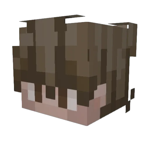 Squakey Minecraft avatar head, 3D render