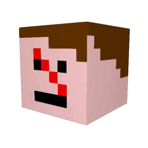 Squal737 Minecraft avatar head, 3D render