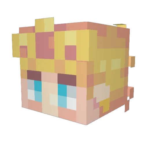 Squalallah Minecraft avatar head, 3D render