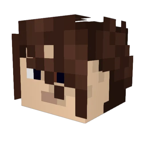 Squall409 Minecraft avatar head, 3D render