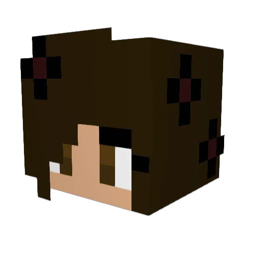 SquallBox Minecraft avatar head, 3D render