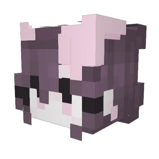 Squaraaaaaah Minecraft avatar head, 3D render