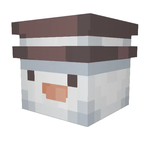 SquareWings928 Minecraft avatar head, 3D render