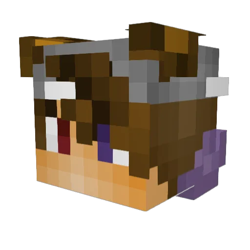 SquashKoyote957 Minecraft avatar head, 3D render