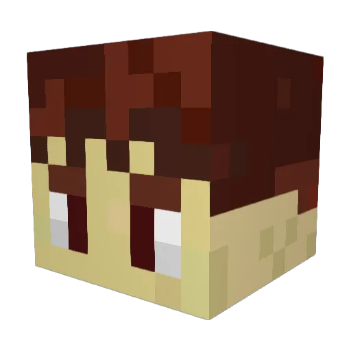SquashWashyy Minecraft avatar head, 3D render