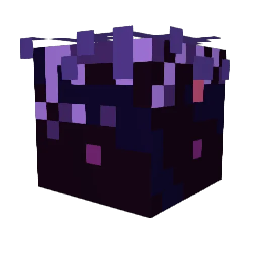 Squashbug13 Minecraft avatar head, 3D render