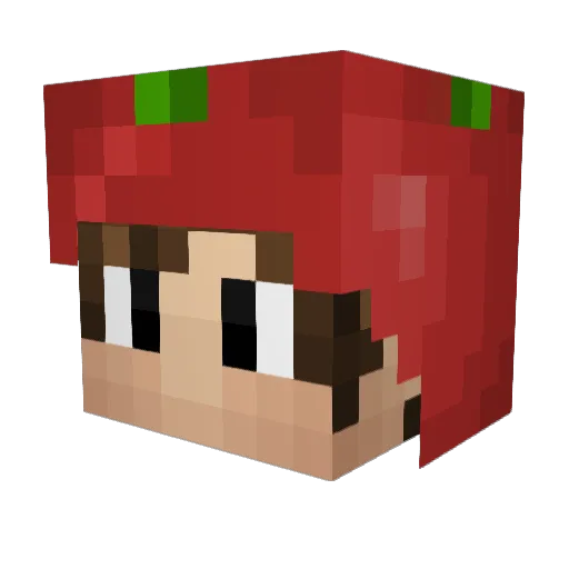 SquashyTomato Minecraft avatar head, 3D render