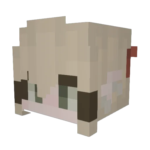 Squashyfrogs Minecraft avatar head, 3D render