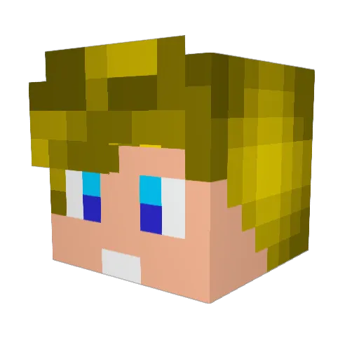 Squattyfrog Minecraft avatar head, 3D render