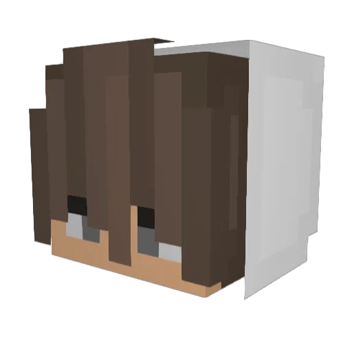 SquazYGG Minecraft avatar head, 3D render