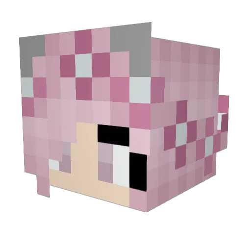 Squeak41003 Minecraft avatar head, 3D render