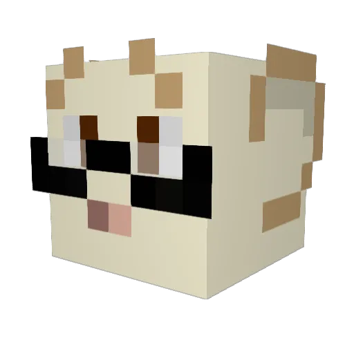 Squeakenpaws_ Minecraft avatar head, 3D render