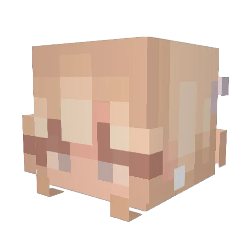Squeakers2671 Minecraft avatar head, 3D render