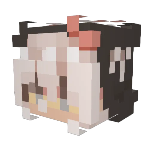 SqueakyBee12 Minecraft avatar head, 3D render