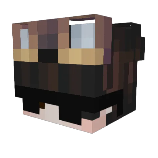 Squeaky__ Minecraft avatar head, 3D render