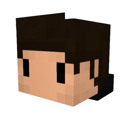 Squeegee Minecraft avatar head, 3D render