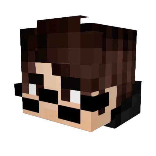 Squeegels Minecraft avatar head, 3D render