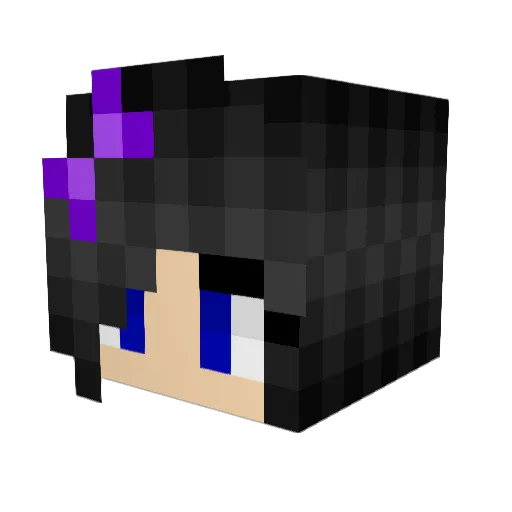 Squeeker7 Minecraft avatar head, 3D render