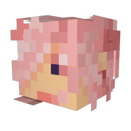 Squeezilla9 Minecraft avatar head, 3D render