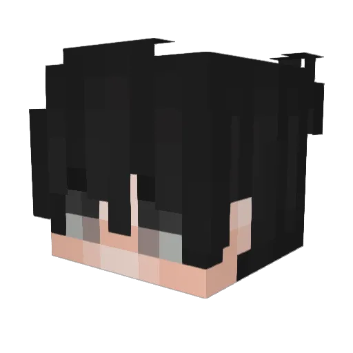 Squeezow Minecraft avatar head, 3D render