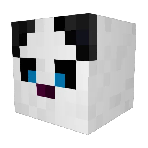 Squib67 Minecraft avatar head, 3D render
