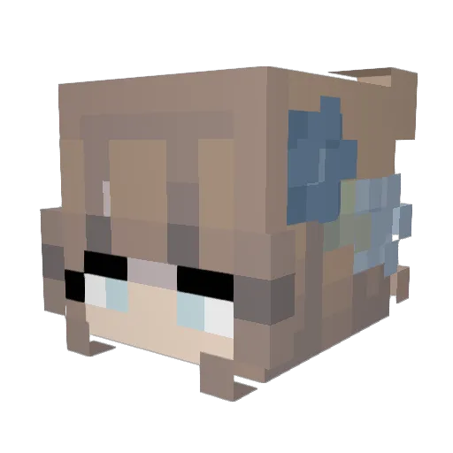 Squibblette Minecraft avatar head, 3D render