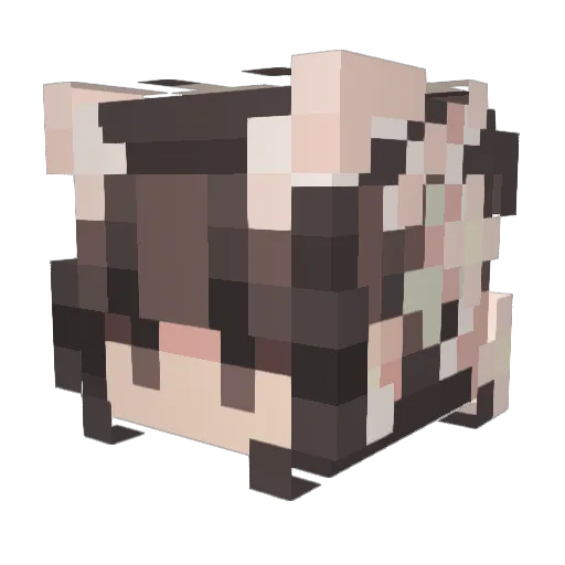 Squibssss Minecraft avatar head, 3D render