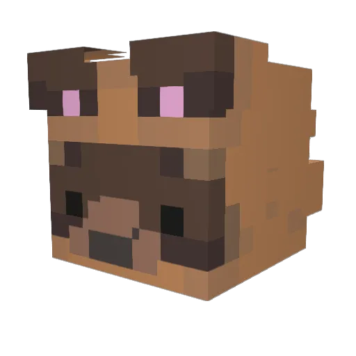 Squichygum Minecraft avatar head, 3D render