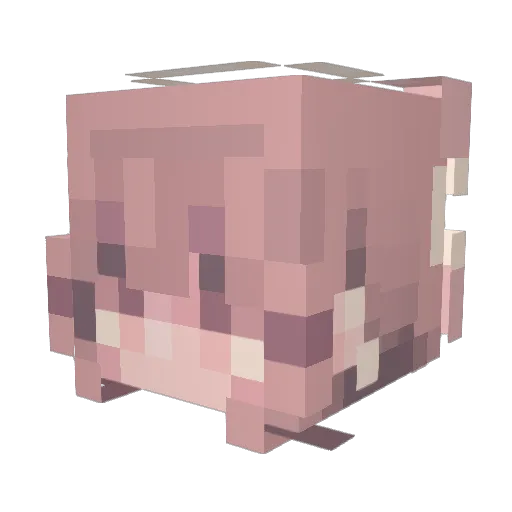 Squid0621 Minecraft avatar head, 3D render