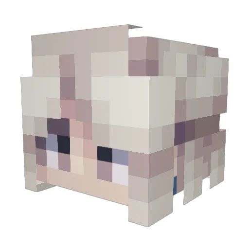 Squid127 Minecraft avatar head, 3D render