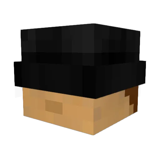 Squid12__ Minecraft avatar head, 3D render