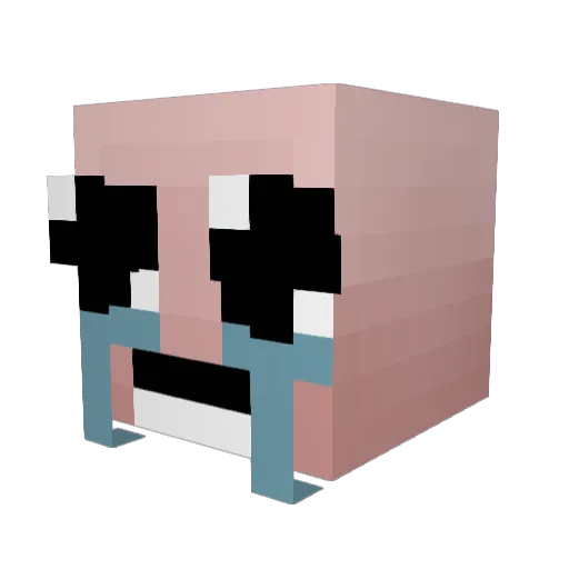 SquidBoBaggins Minecraft avatar head, 3D render