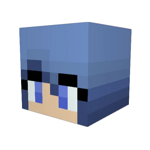 SquidJitsu Minecraft avatar head, 3D render