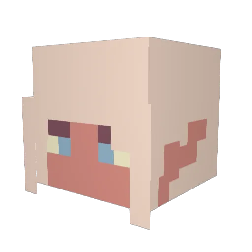 SquidNoises Minecraft avatar head, 3D render