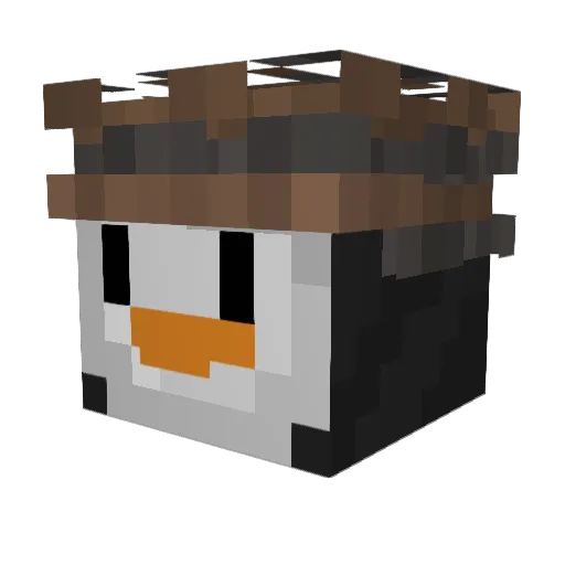 SquidNugget994 Minecraft avatar head, 3D render