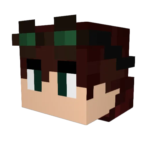 SquidPower12 Minecraft avatar head, 3D render