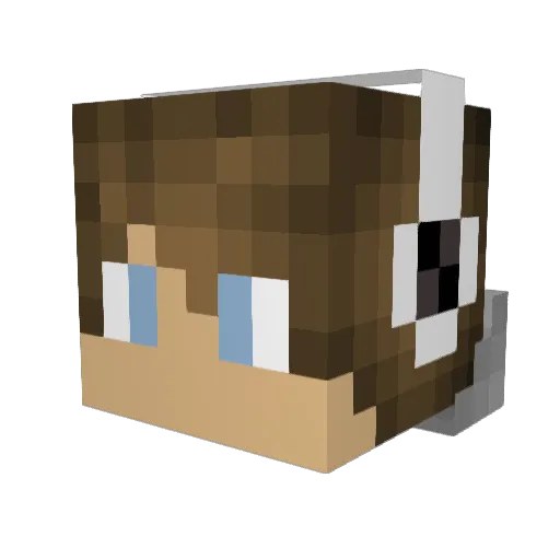 SquidPro Minecraft avatar head, 3D render
