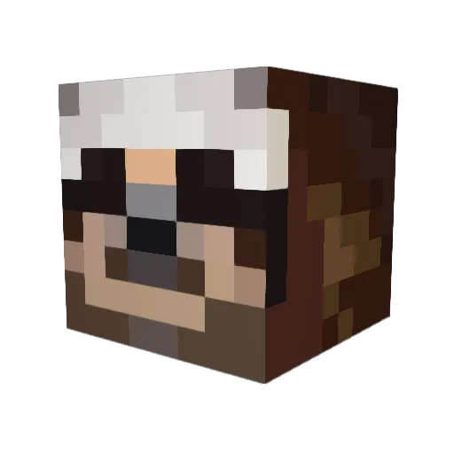 SquidProQuo_ Minecraft avatar head, 3D render