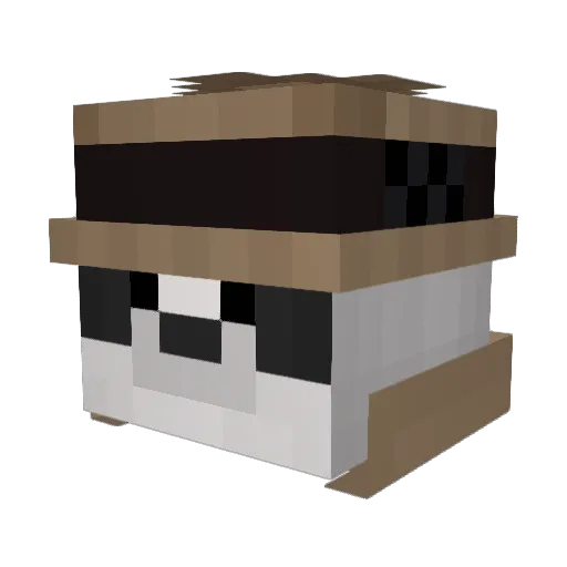 SquidRunner250 Minecraft avatar head, 3D render