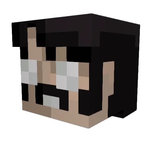 SquidSE Minecraft avatar head, 3D render