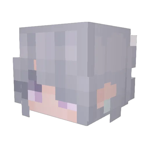 SquidTSG Minecraft avatar head, 3D render