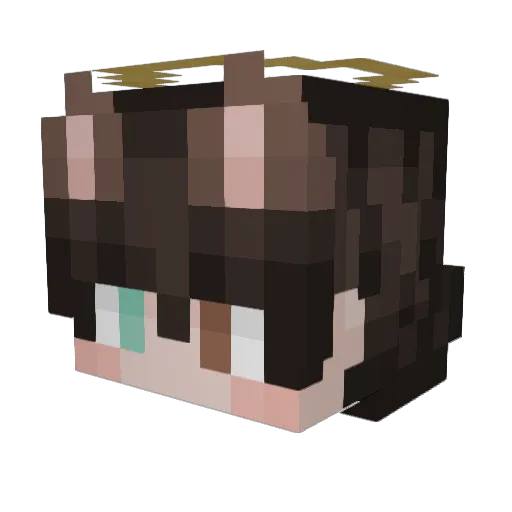 SquidTeedy Minecraft avatar head, 3D render