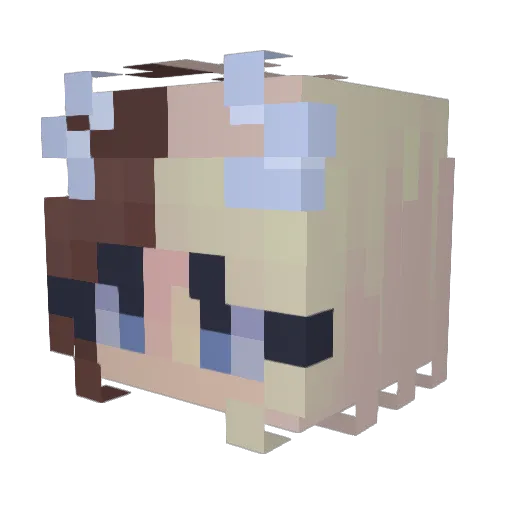 Squid_Soda Minecraft avatar head, 3D render