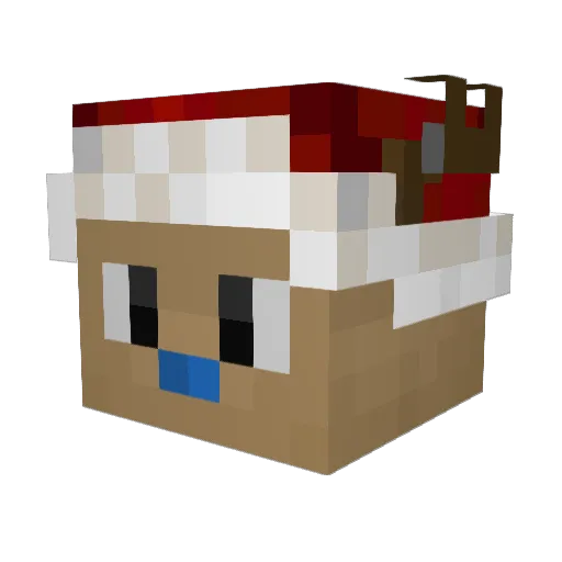 Squidconsumption Minecraft avatar head, 3D render