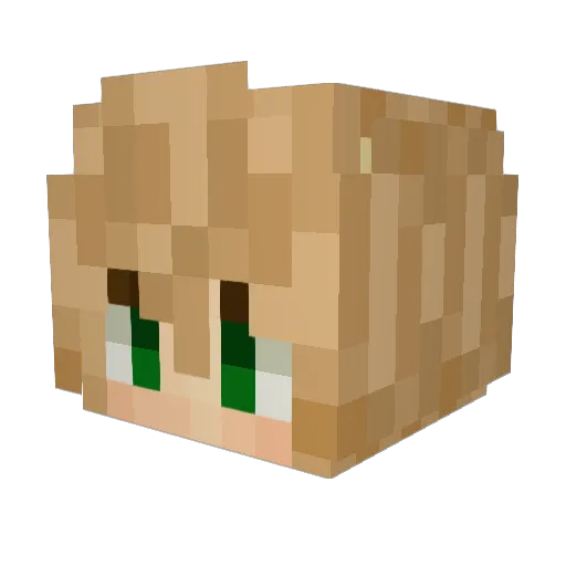 Squidd18 Minecraft avatar head, 3D render