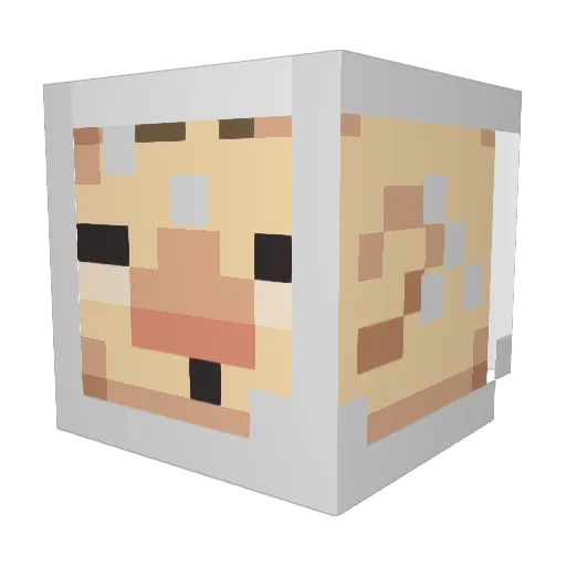 Squiddium Minecraft avatar head, 3D render