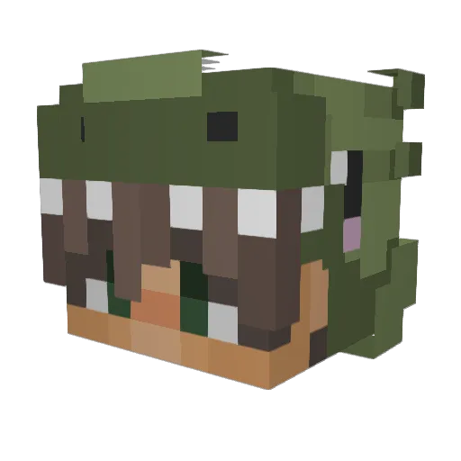Squiddo1 Minecraft avatar head, 3D render